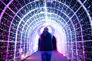 Christmas Garden Insel Mainau - Rundum-Sorglos mit dem Schiff 2026