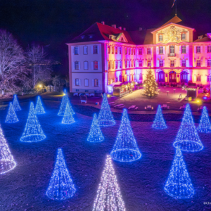 Christmas Garden Insel Mainau - Rundum-Sorglos mit dem Schiff
