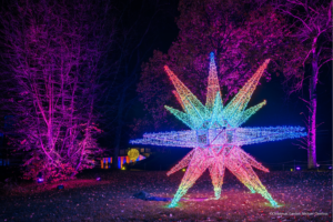 Christmas Garden Insel Mainau - Rundum-Sorglos mit dem Schiff
